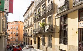 Cozy 1Bd 1Bth - Anton Martin